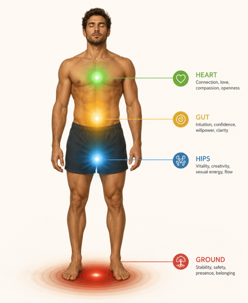 "Diagram of male body highlighting the four embodiment centers — heart, gut, hips, and ground — for emotional and energetic health"