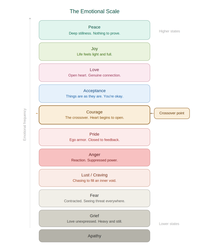 "Emotional scale chart showing progression from low-vibration states like apathy and fear up to courage, love, and peace"